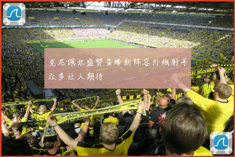 克尼佩尔盛赞黄蜂新阵容外线射手众多让人期待